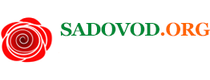 Sadovod